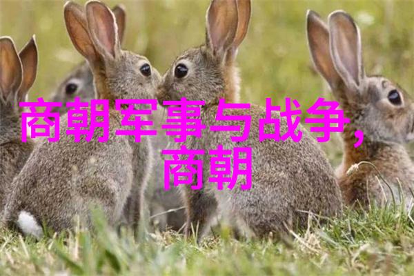 乾隆的儿子-四皇子的梦想与责任乾隆帝的继承者们