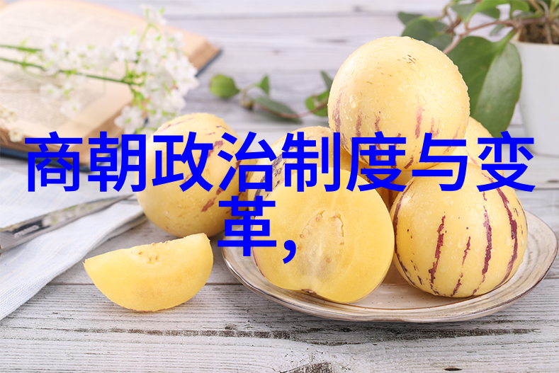 历史探究 - 元朝之谜1206还是1271的开国年份