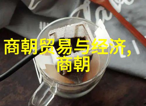 明代隐逸与权谋明朝那些事作者的人生轨迹