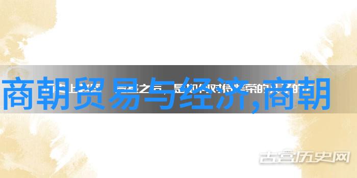 光绪之位清朝末代皇帝前行的继承者们