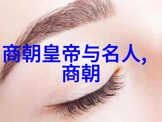 探索中世纪中国历史上的十大朝代与其特点