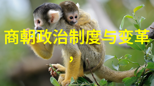 历史课本丑化明朝我看不懂为什么他们要这样写我们的祖宗