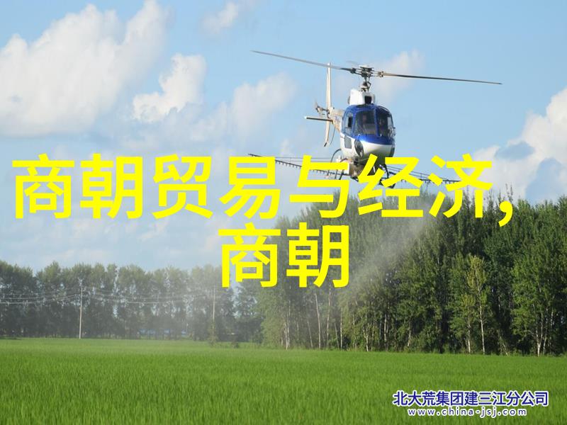 明太祖朱元璋在土木堡之战中的英勇事迹