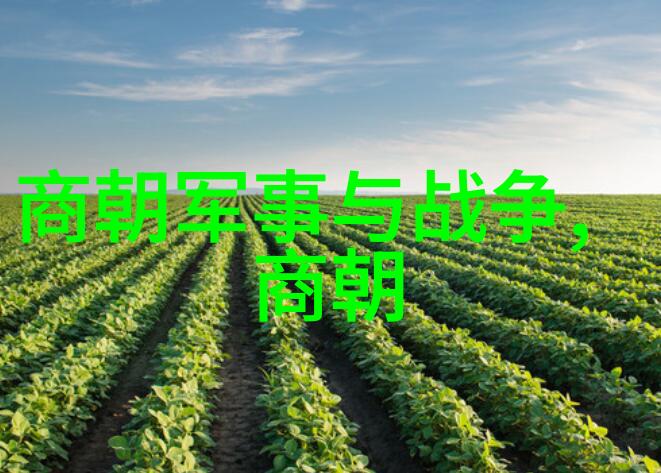 图像回溯明朝艺术画廊