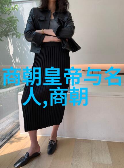 明朝兴衰史诗权力斗争与文化繁荣