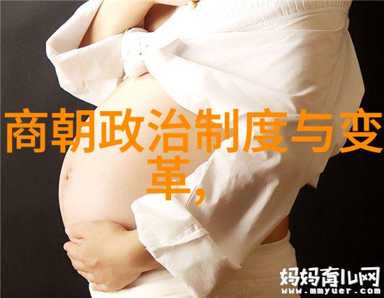 王朝大杂烩从秦始皇到清高宗历代帝王的穿越奇遇