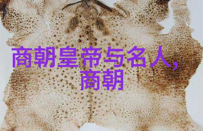 范浩民传明朝末年的一代枭雄