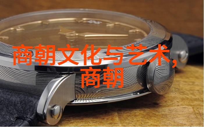 一夫多妻的诱惑与挑战家庭和谐与个人自由的双刃剑