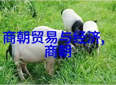 朱允炆下落之谜-失踪皇帝的神秘足迹