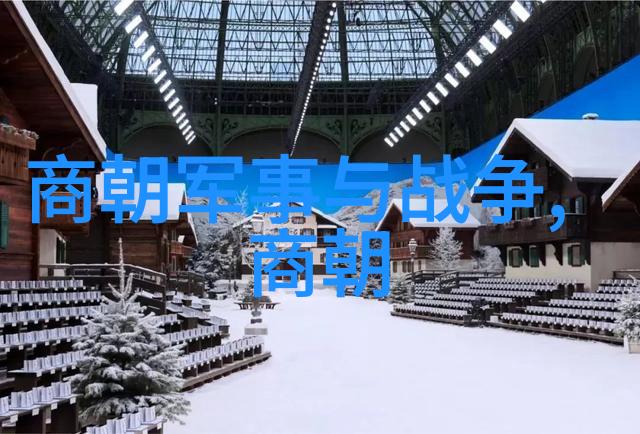 北周禅让给杨坚的历史背景与原因分析北周末期政治危机与权力转移