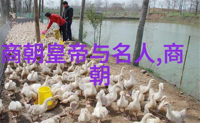 河南梨园春2023年总决赛视频豫剧老生李国智的巅峰表演