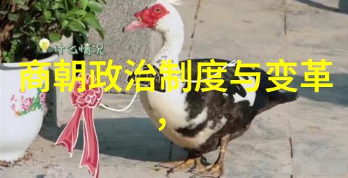 民间故事中的狐仙琼崖纵队的神奇舞蹈狐灯舞