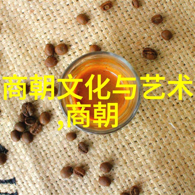 穿越时空的眼神揭秘一位历史人物的未解之谜