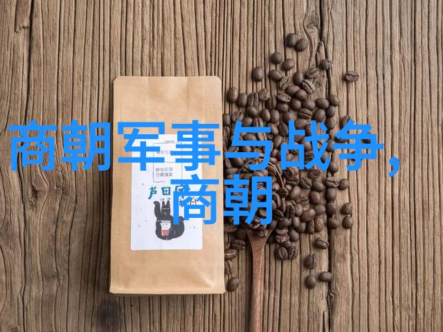 金石为开揭秘元朝的辉煌与沉浮