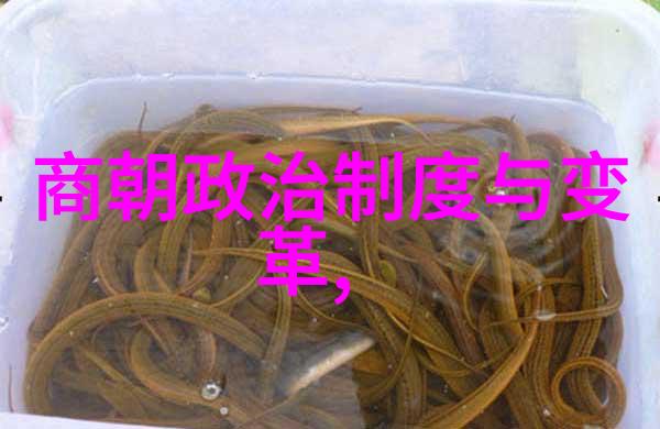 绘制明朝顺序列表图重构历史脉络