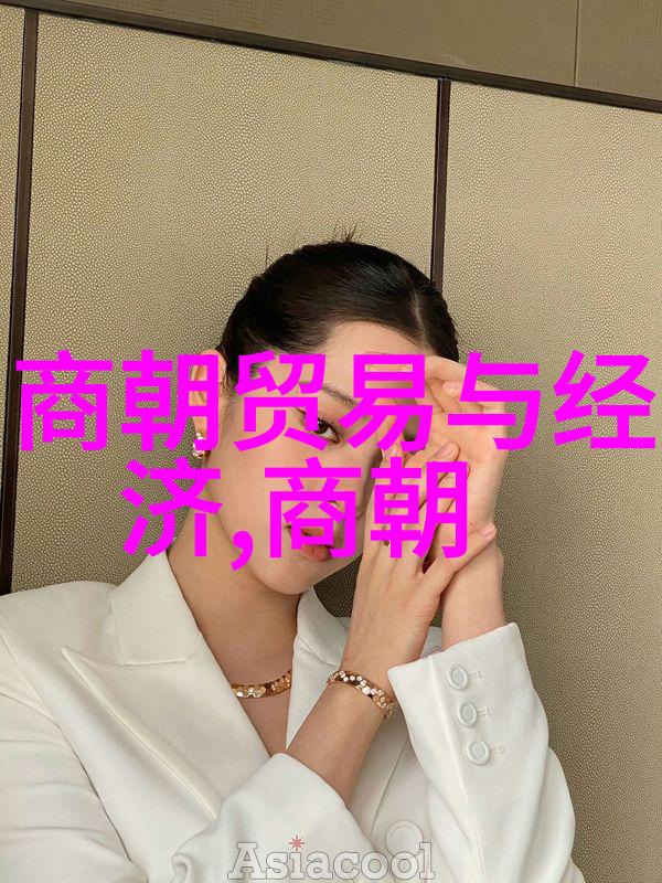 明朝垃圾还是清朝垃圾-历史的尘埃探寻明清两代的遗憾与成就