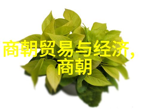 明英宗之称天命之子与历史的变迁