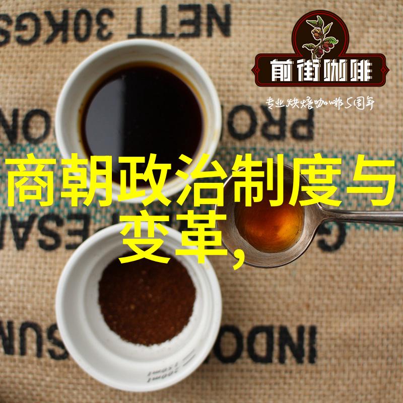 中国男孩与世界的故事廖男男的旅程