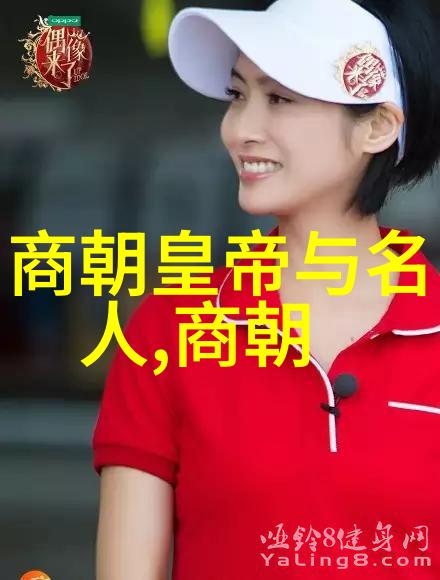 宋朝历史的璀璨篇章与专家们的热议