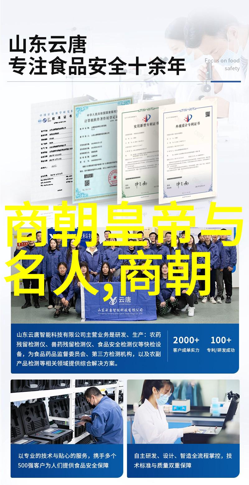 唐代宗唐朝由盛转衰的物品踪迹