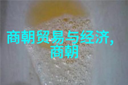 王广显又在哪一本北京国际名人录里闪耀着他的光芒