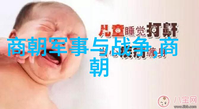 明朝帝王年表探究 时代变迁与皇家盛衰