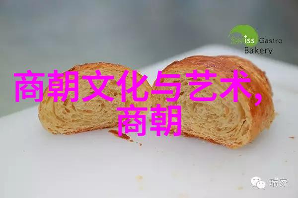 解读历史上的隐秘篇章一探野史争议的学术视角