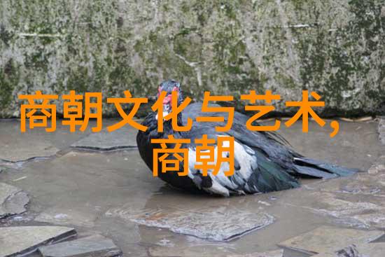 元朝有多大咱们来聊聊它的辽阔篇章