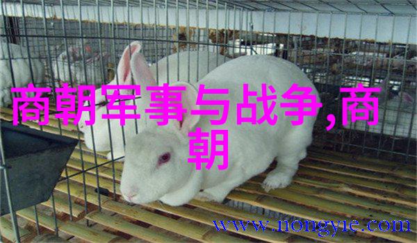 埃丁森卡瓦尼世界十大主义之冠下风云人物的传奇轨迹