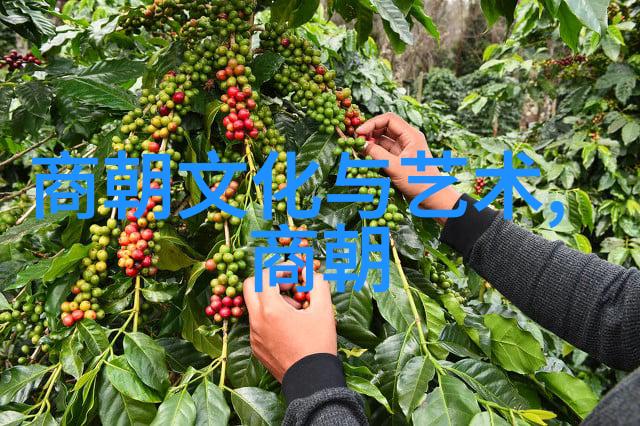 朱棣一脉短命之谜历代皇帝的健康与权力的秘密