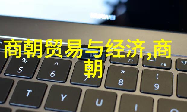 沐浴在历史的光辉下努尔哈赤为何不传位给多尔衮