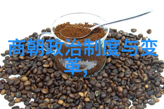 朝代秘录时间之轮的倒影