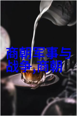 明君寥照脱脱的政治智慧与历史足迹