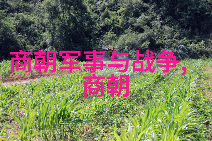 南明遗民之绝望最后一抹曦光在湘中熄灭