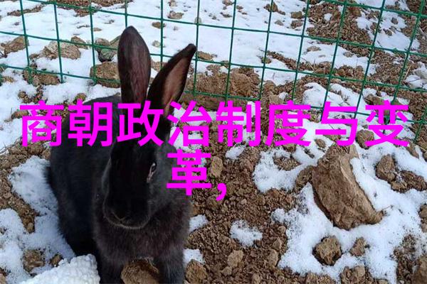 明朝军事战略如何评价万历会试案对科举制度的冲击
