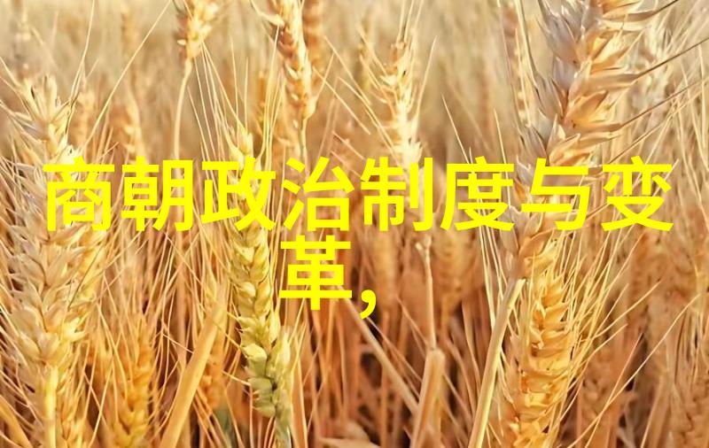 大明帝国的辉煌与衰落从洪武至崇祯中国历史上的转折点
