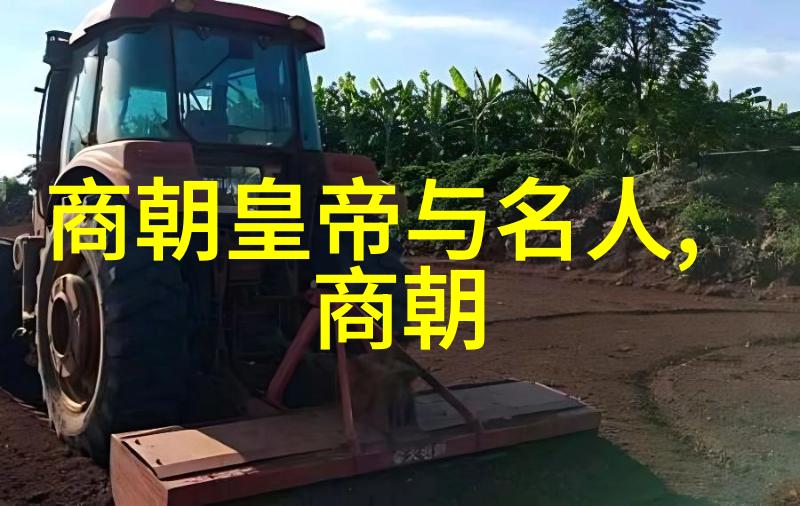 黄梅戏全集韩再芬的旦行传奇