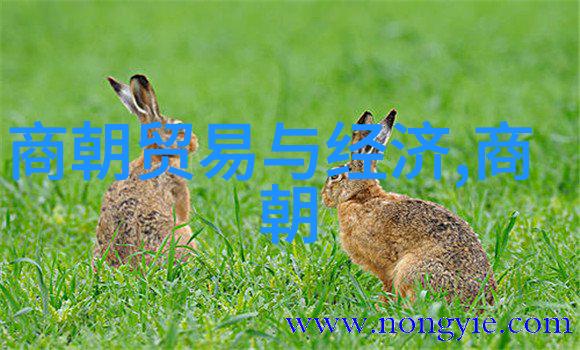 陈昌言解开少儿国学之谜