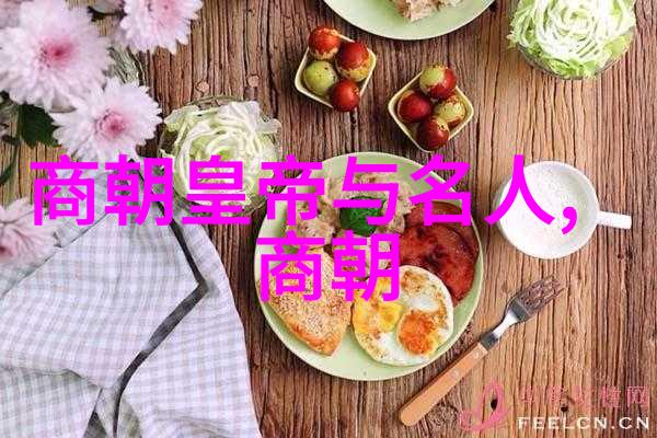 碧血绘战土木堡的孤鸣