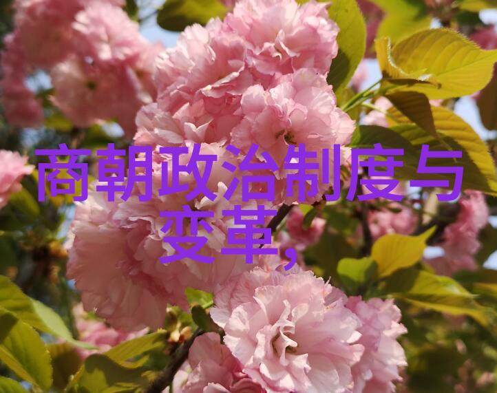 元朝失败的原因-辽阔帝国的衰落元朝崩溃背后的历史根因