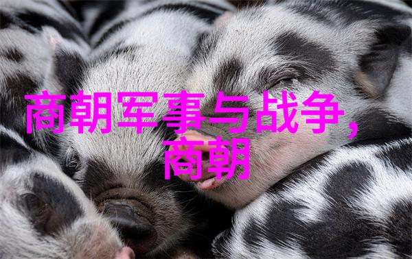 最不应该灭亡的朝代-时光倒流重塑历史寻找被遗忘的辉煌