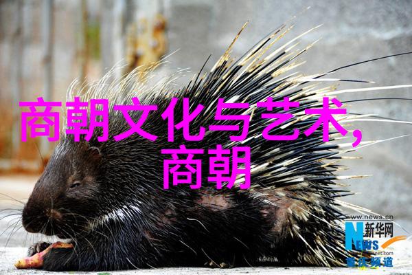 探寻真实身份重建历史连结研究明代宗室成员之间的人际关系