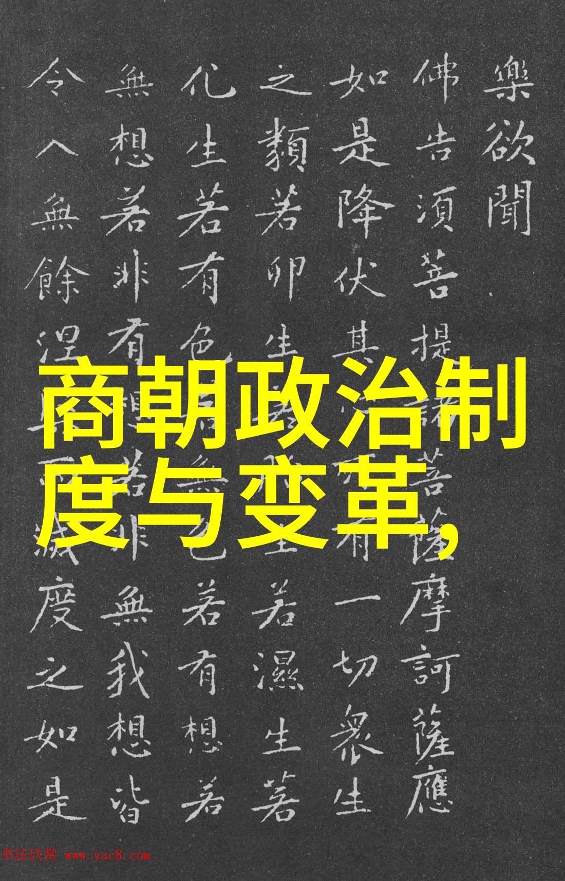 豫剧武旦演员车兰玉在社会舞台上的精彩演绎豫剧戏曲大全