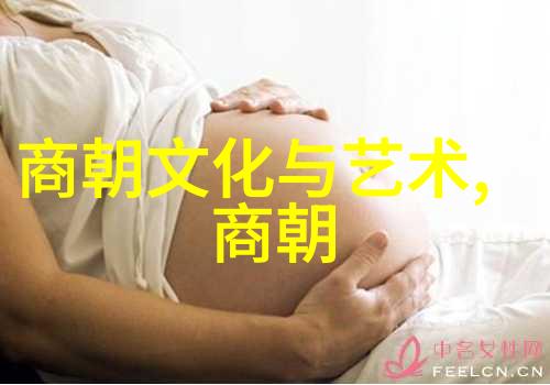 惊男生放弃保研复旦大学逆袭报考对外经济贸易大学宋朝贸易智慧再现新时代商海