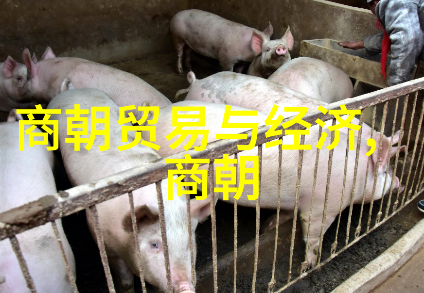 董其昌评王羲之墨迹简述一件物品的故事