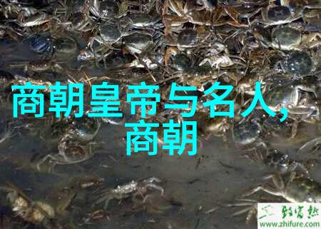 宋元明时期的人才评价体系有何不同之处