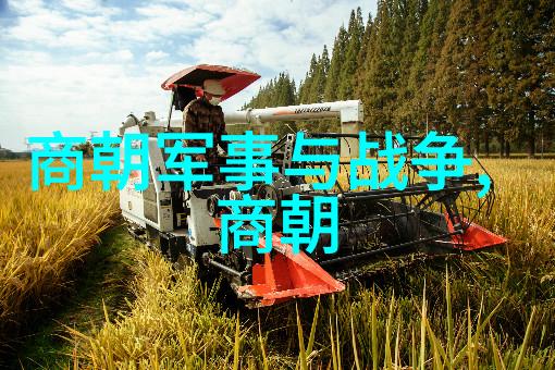 明代宫女谋杀我亲眼见证的那场宫廷悲剧