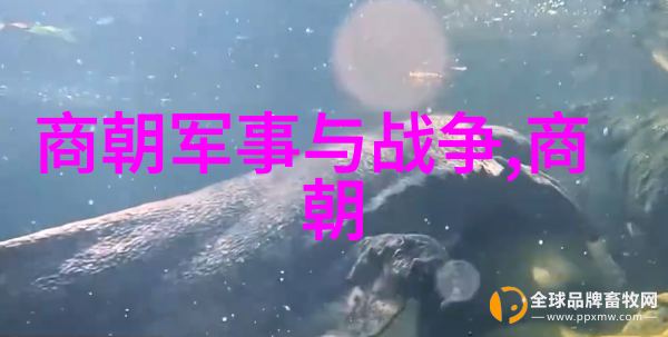 隋朝之父杨坚的崛起与帝业建立