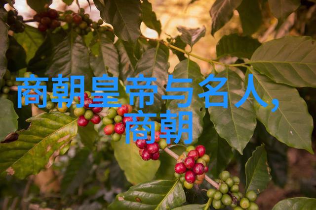 儿童睡前甜梦旅程温馨故事的魔法世界