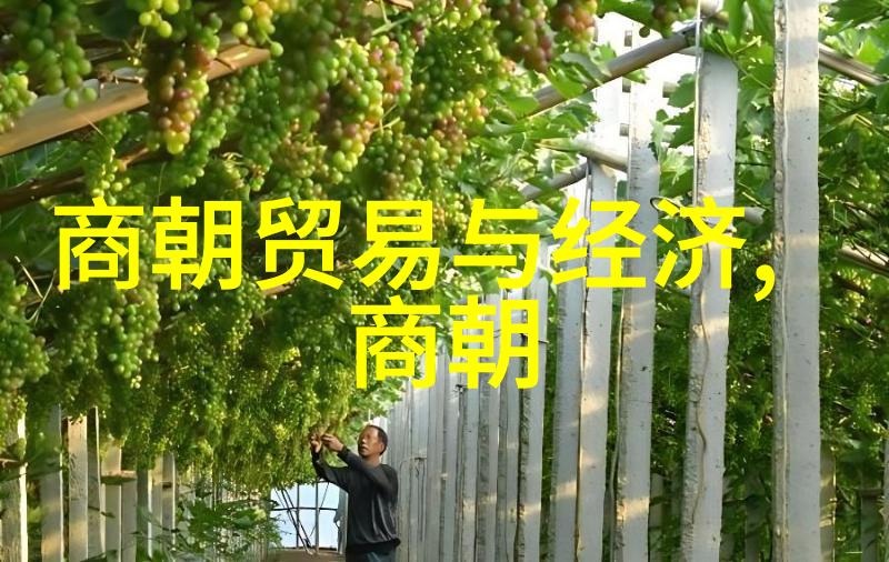 辽阔的草原与繁荣的都城探索元朝的庞大版图